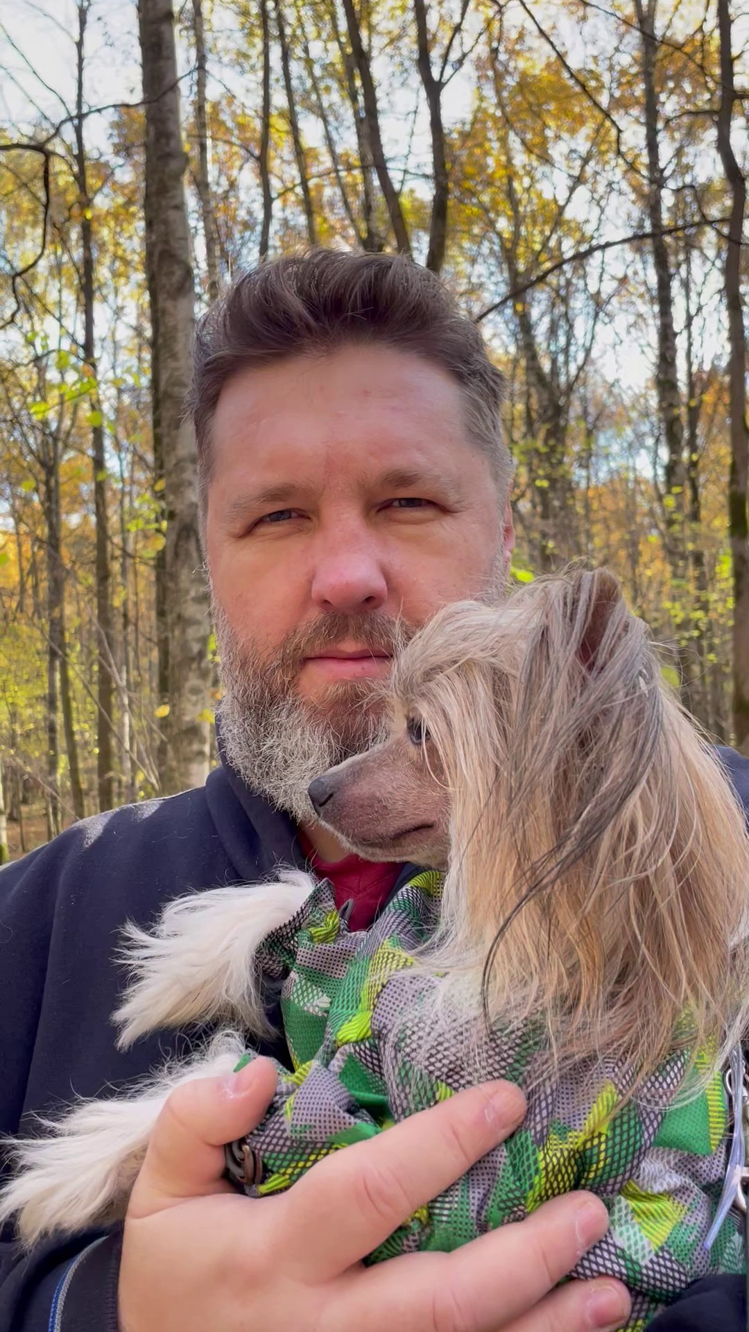 Честер и ко. осенью в Тропарево. Питомник китайских хохлатых собак Poale Ell: купить щенка в питомнике