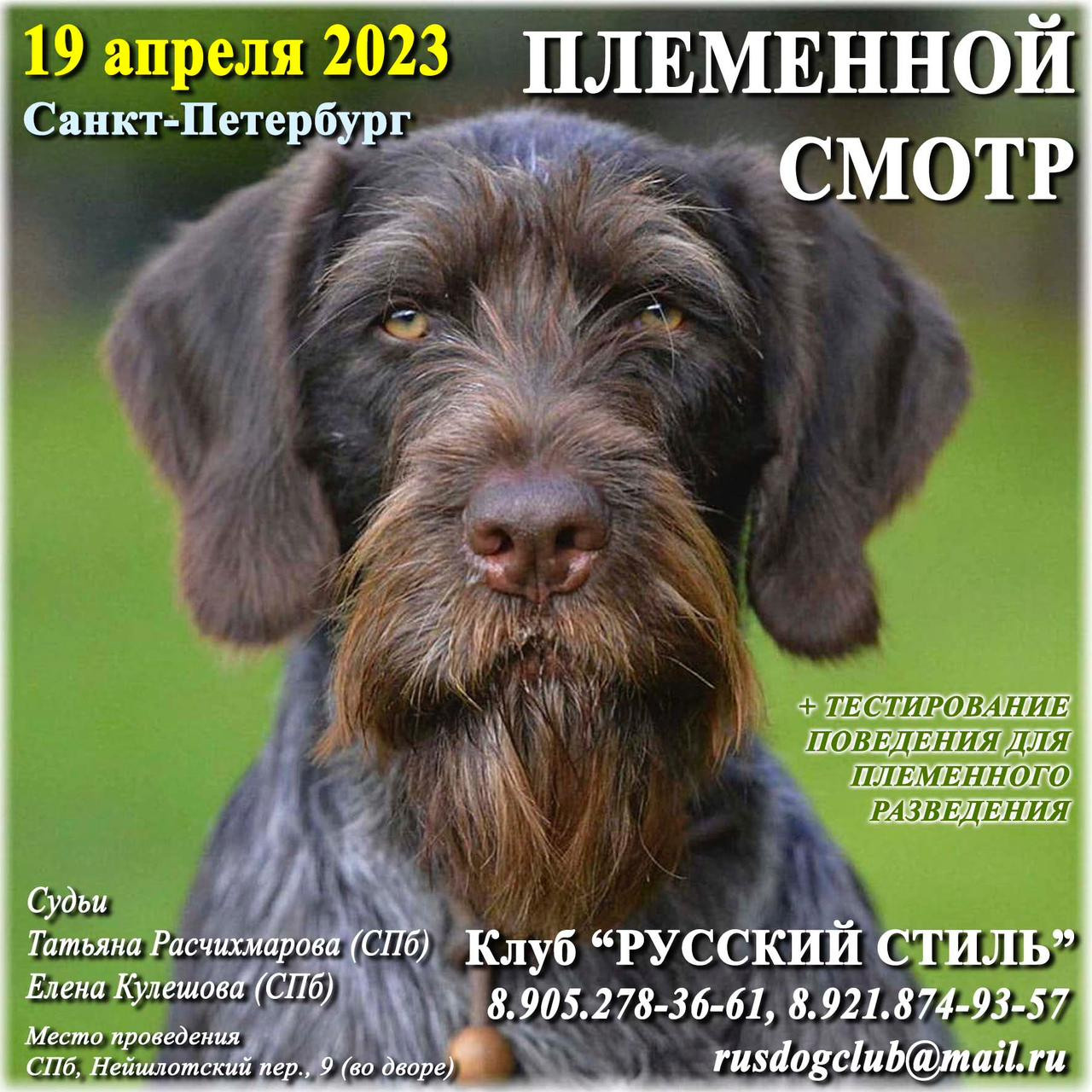 ПЛЕМЕННОЙ СМОТР 15.01.2026. Кинологический клуб РКФ РФСС СЕНСАЦИЯ