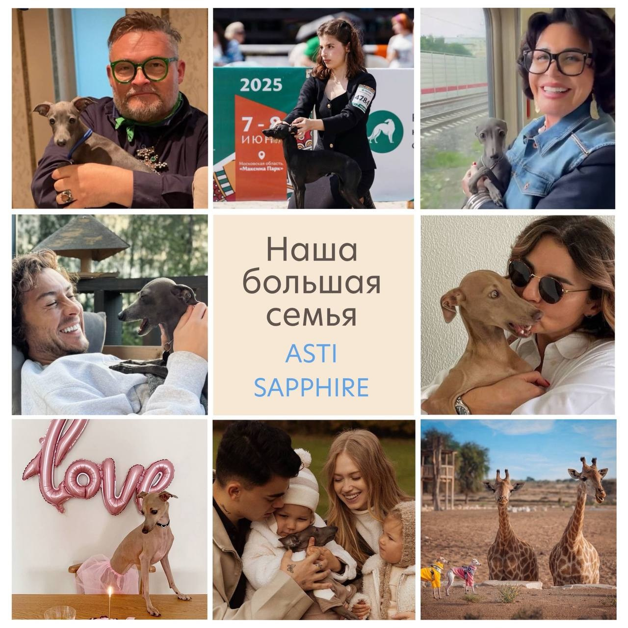 Итоги февраля. Профессиональный питомник левреток РКФ/FCI ASTI SAPPHIRE 💎 Сочи|Санкт-Петербург