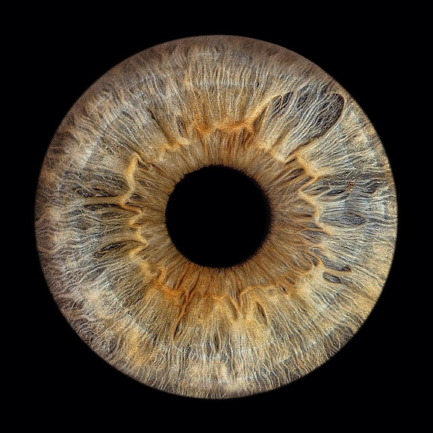 Фото Радужки / Photo of the iris. Фотостудия Eyes Art Studio