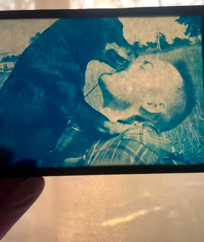 Alternative processe. Maria Norden