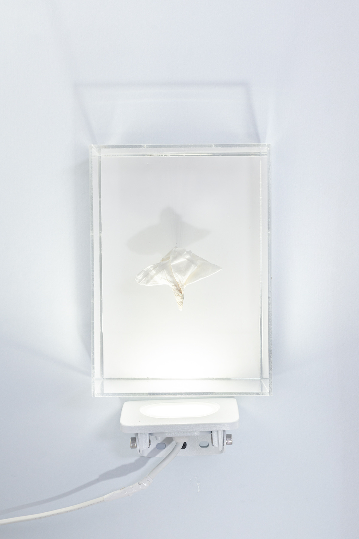 Session N9. Mixed-media artist