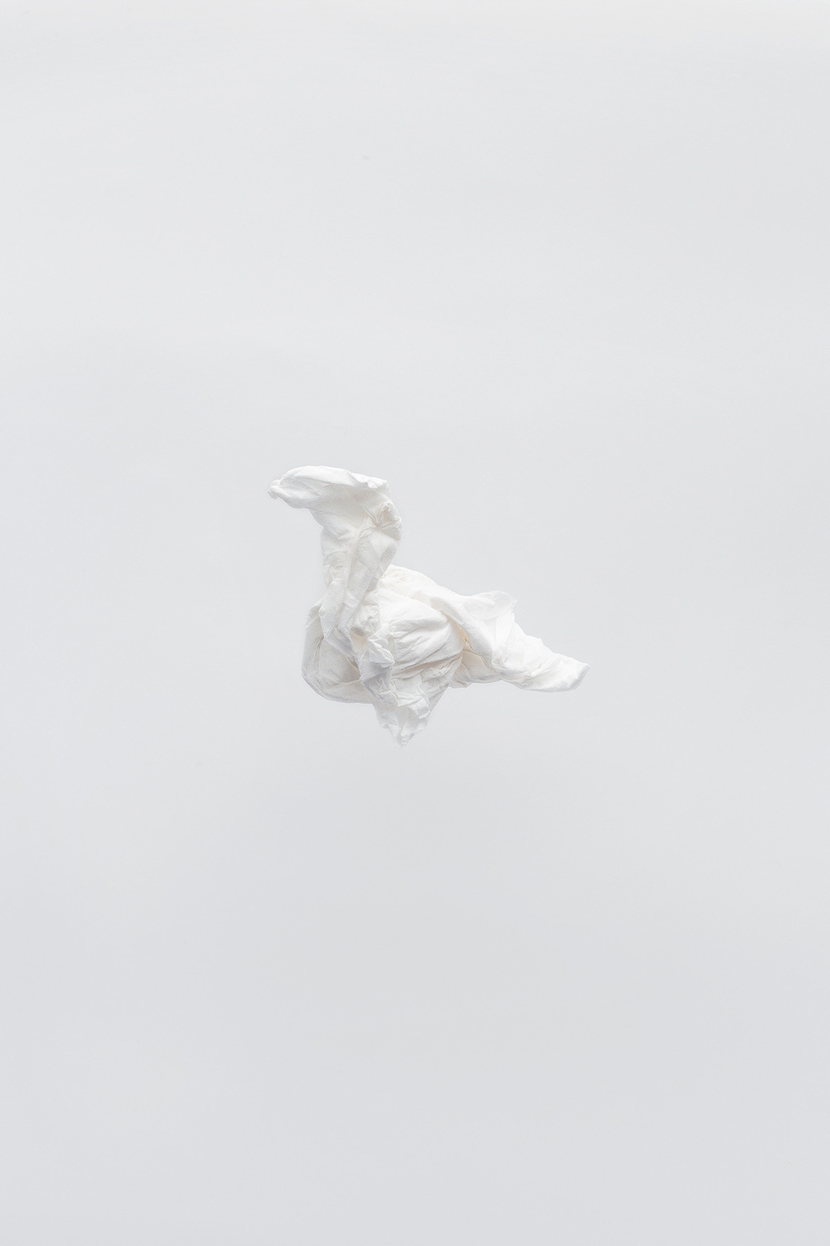 Session N9. Mixed-media artist