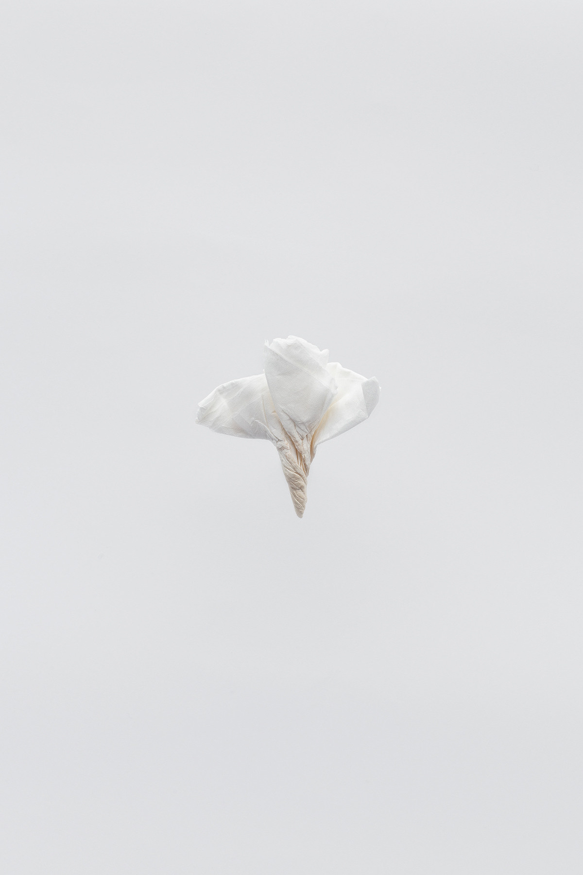 Session N9. Mixed-media artist