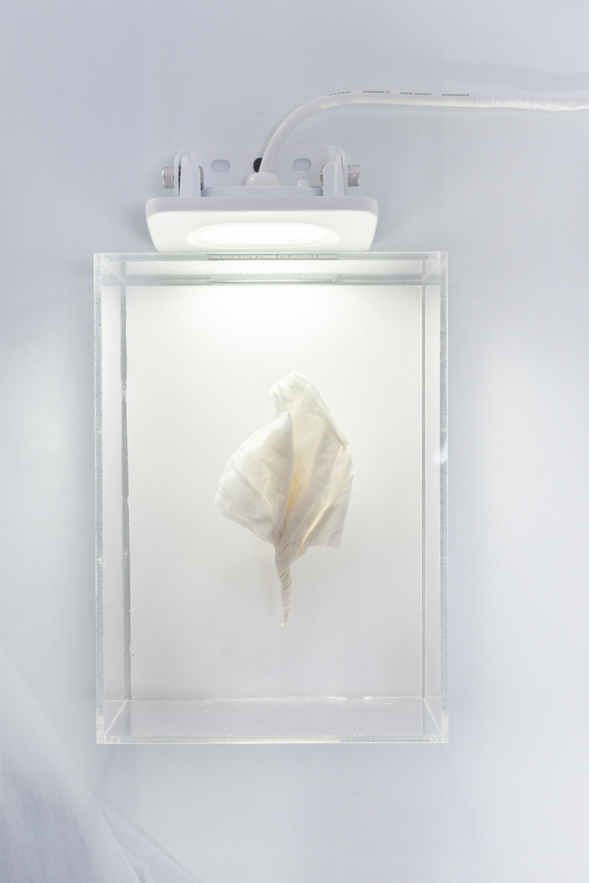 Session N9. Mixed-media artist