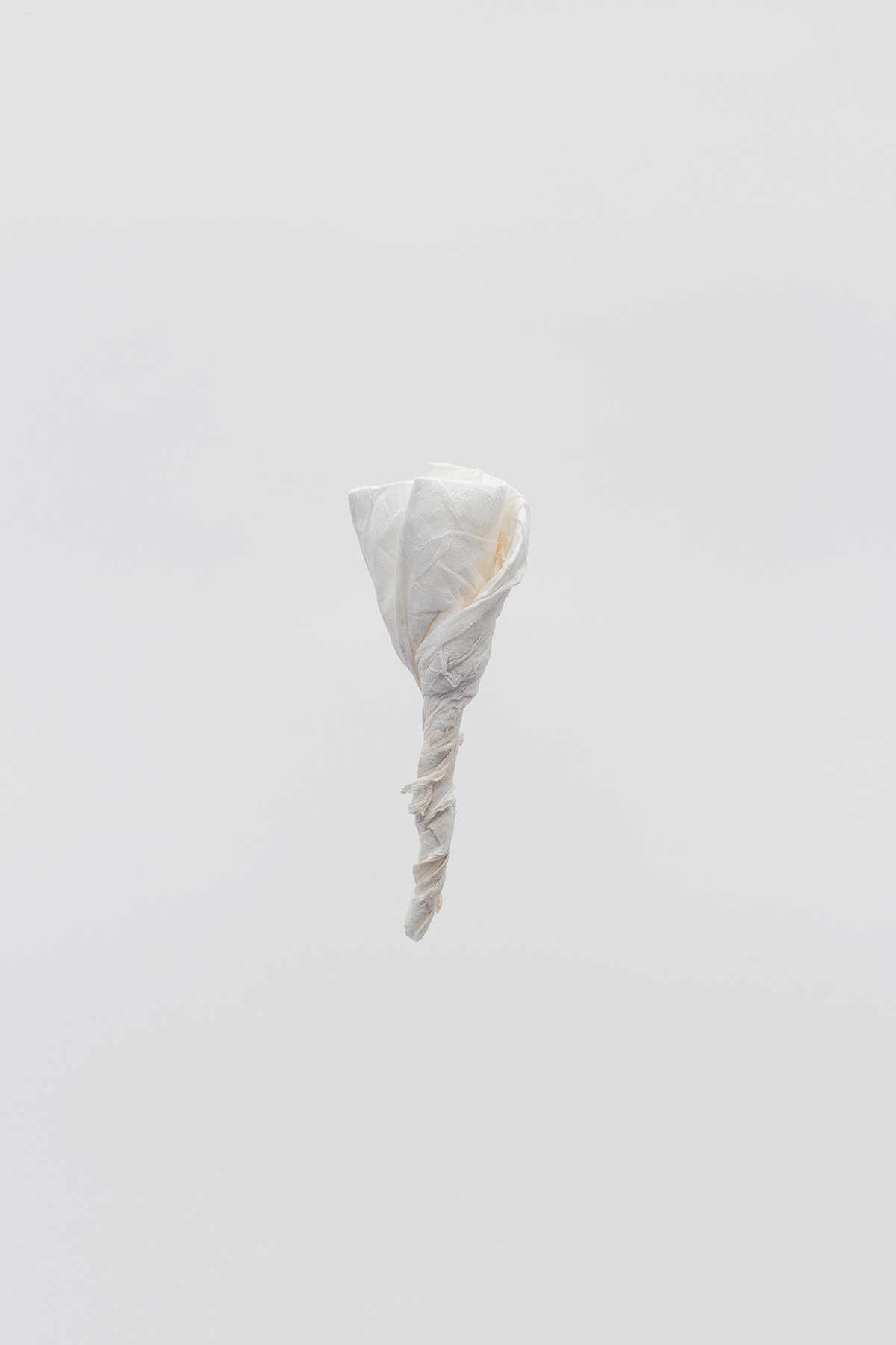 Session N9. Mixed-media artist