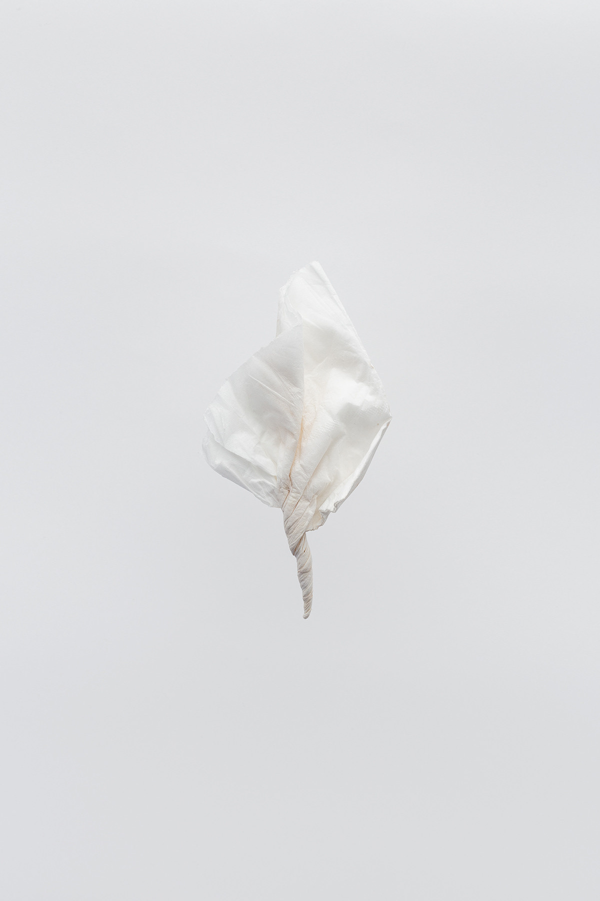 Session N9. Mixed-media artist