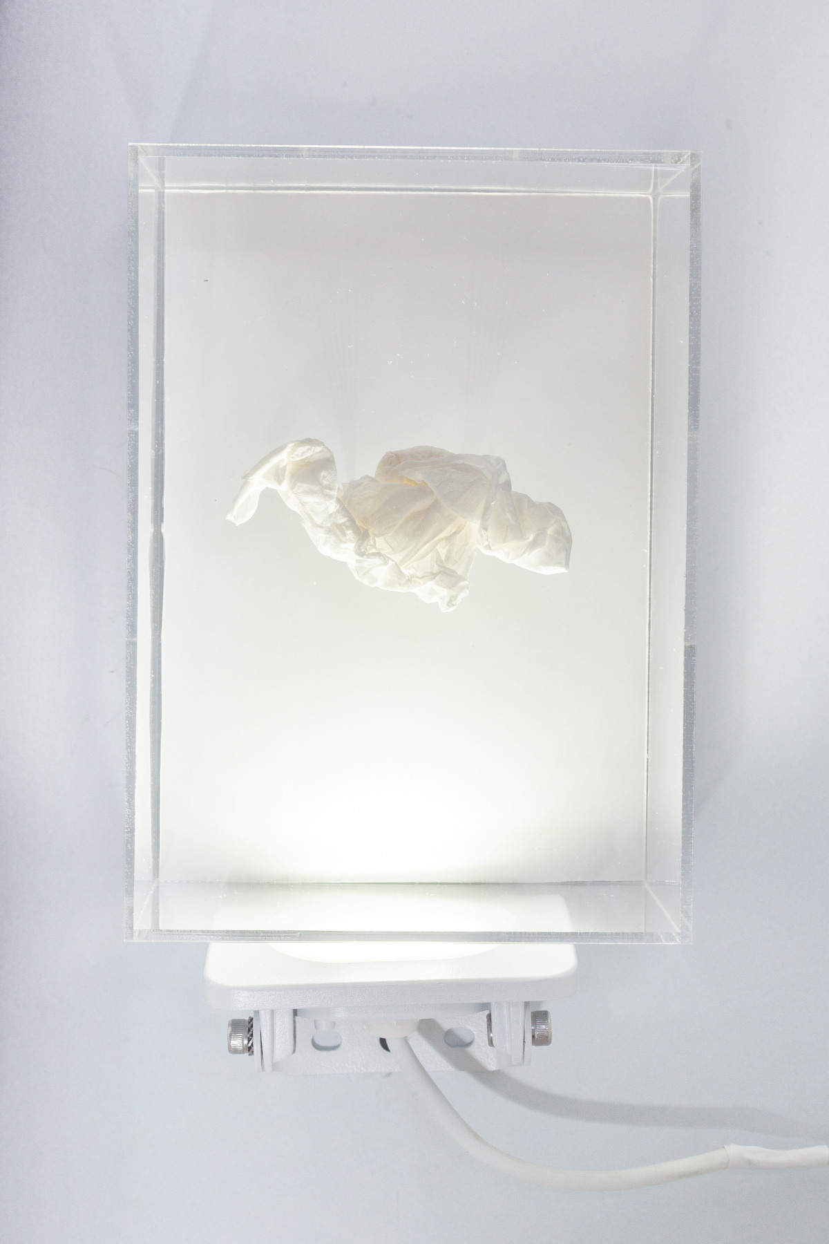 Session N9. Mixed-media artist