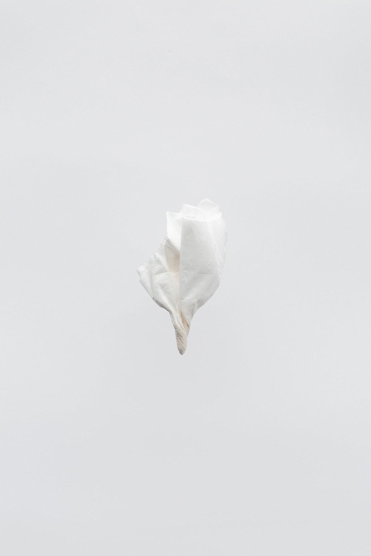 Session N9. Mixed-media artist