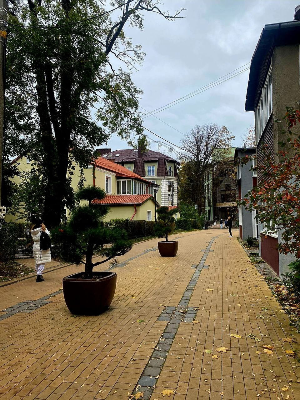 улочки Зеленоградска