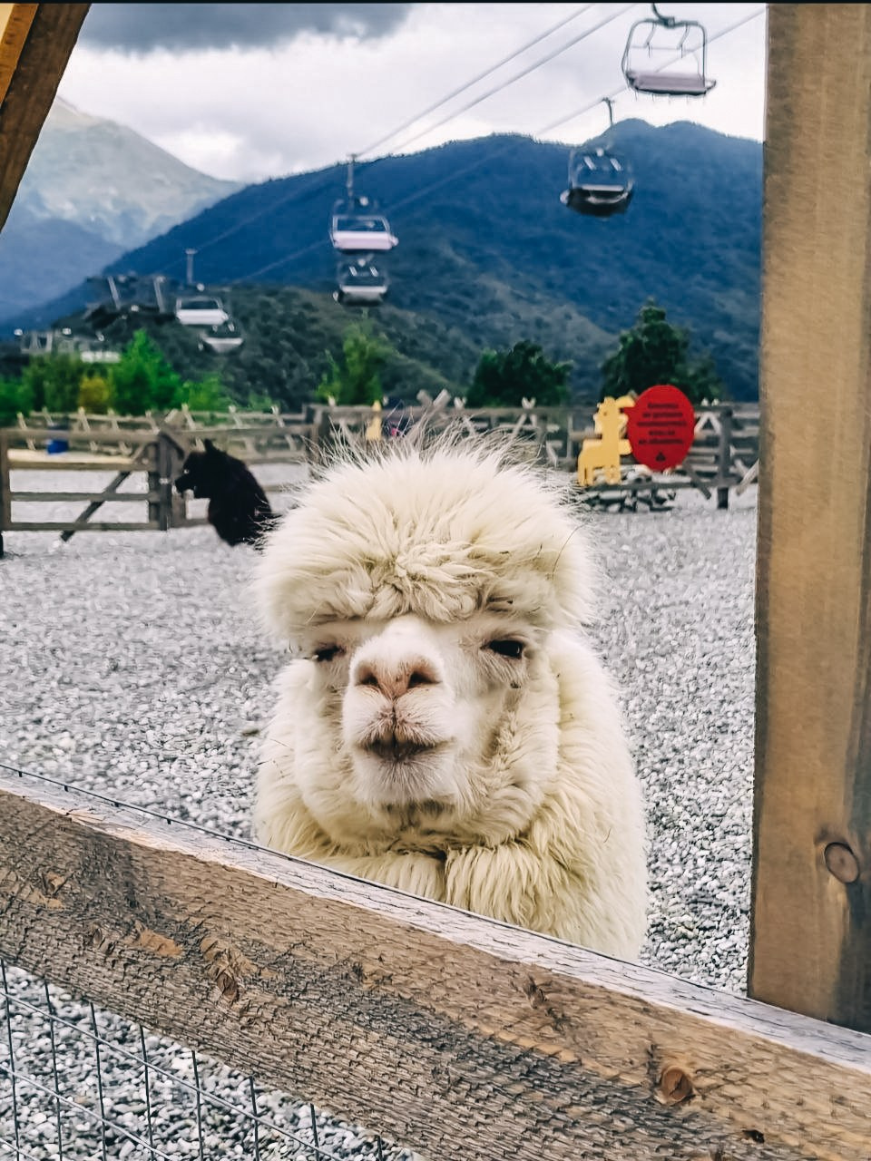 ФотоТуры. Фотограф Красная поляна|Сочи|Сириус