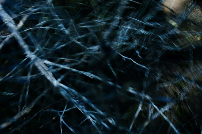 Archive ptoto projects. Янина болдырева Yanina Boldyreva