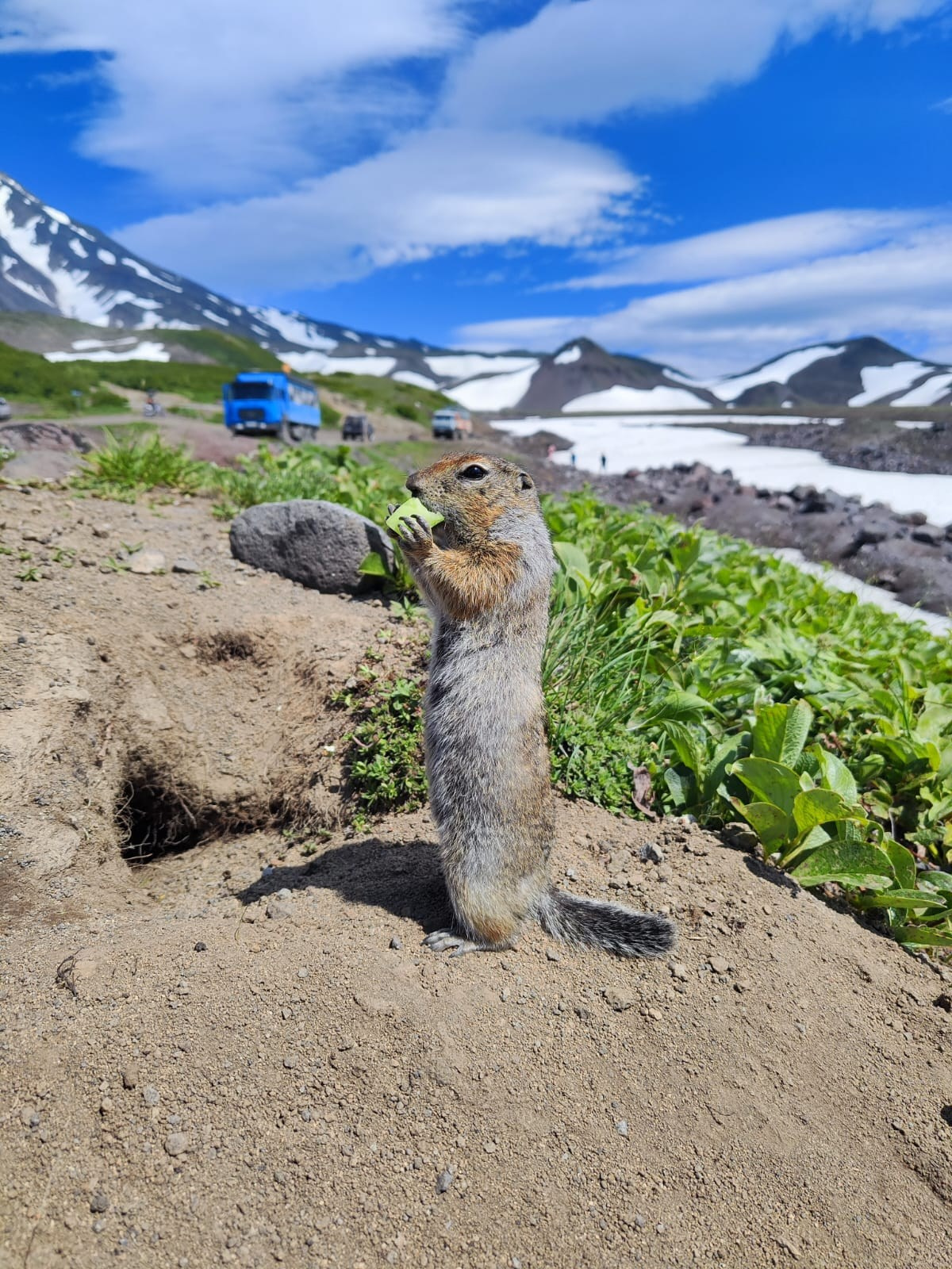 Авачинский перевал и восхождение на экструзию Верблюд. Экскурсионные туры по Камчатке