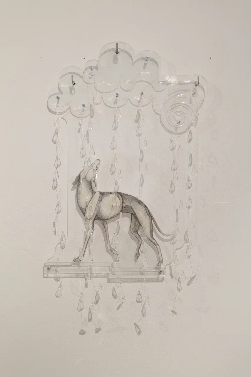 Жив был пёс. Собачий художник Поля Стриж