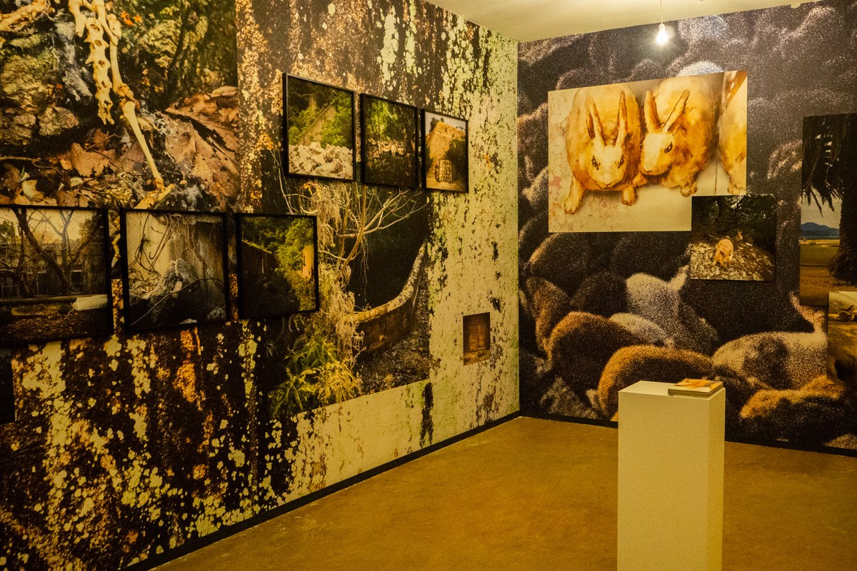 INTERVIEW WITH THE ARTIST: YOSHIKATSU FUJII. Самоорганизация Низина