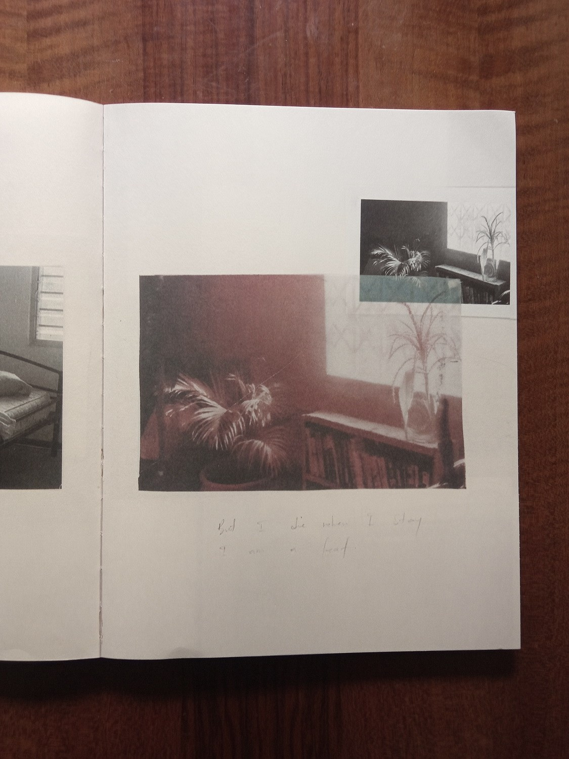 Проект «A Certain Bed» Эрика Гьямфи. Private image