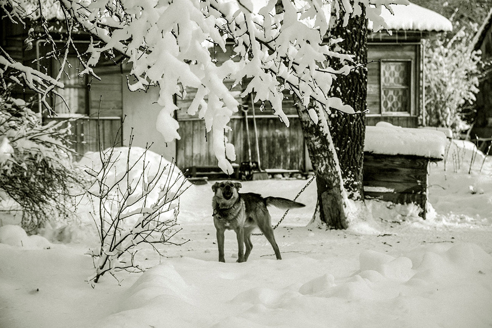 Life under the mountain. Фотохудожник