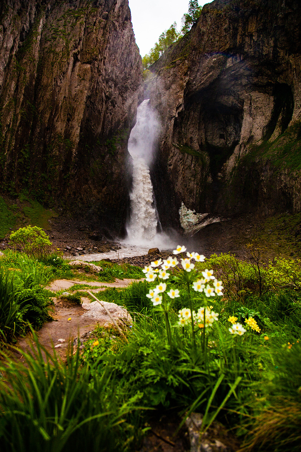 In harmony. Фотохудожник