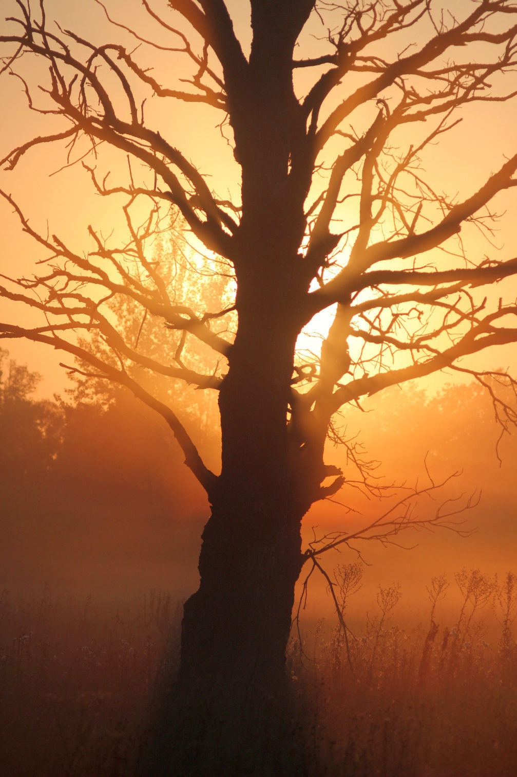 Итоги 2019: лучшие фотографии выпускников фотошколы "Перспектива" за 2. Фотоцентр Перспектива: выпускные альбомы, фотошкола, курсы фотографии