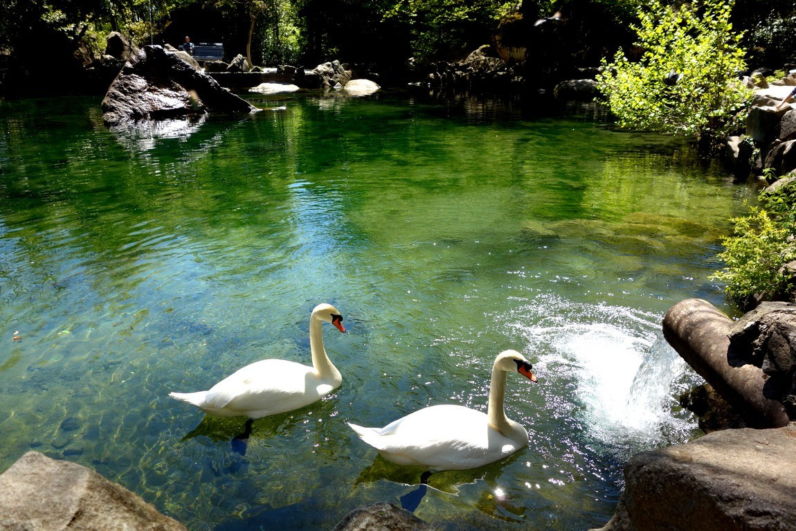 Локации для фотосессии в Ялте. Профессиональная фотосъемка в Крыму. Натуральные эмоции и живые кадры. Забронируйте дату прямо сейчас!