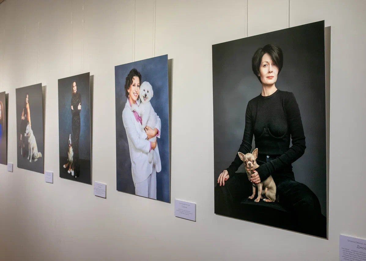 Михаил Стенин, У Любви четыре лапы