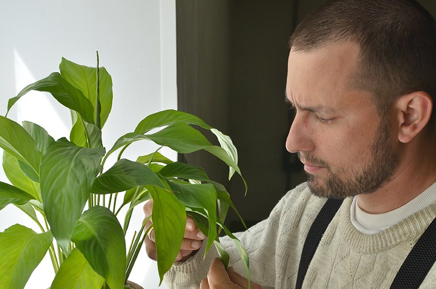 ЛЕОН. Мир вокруг меня