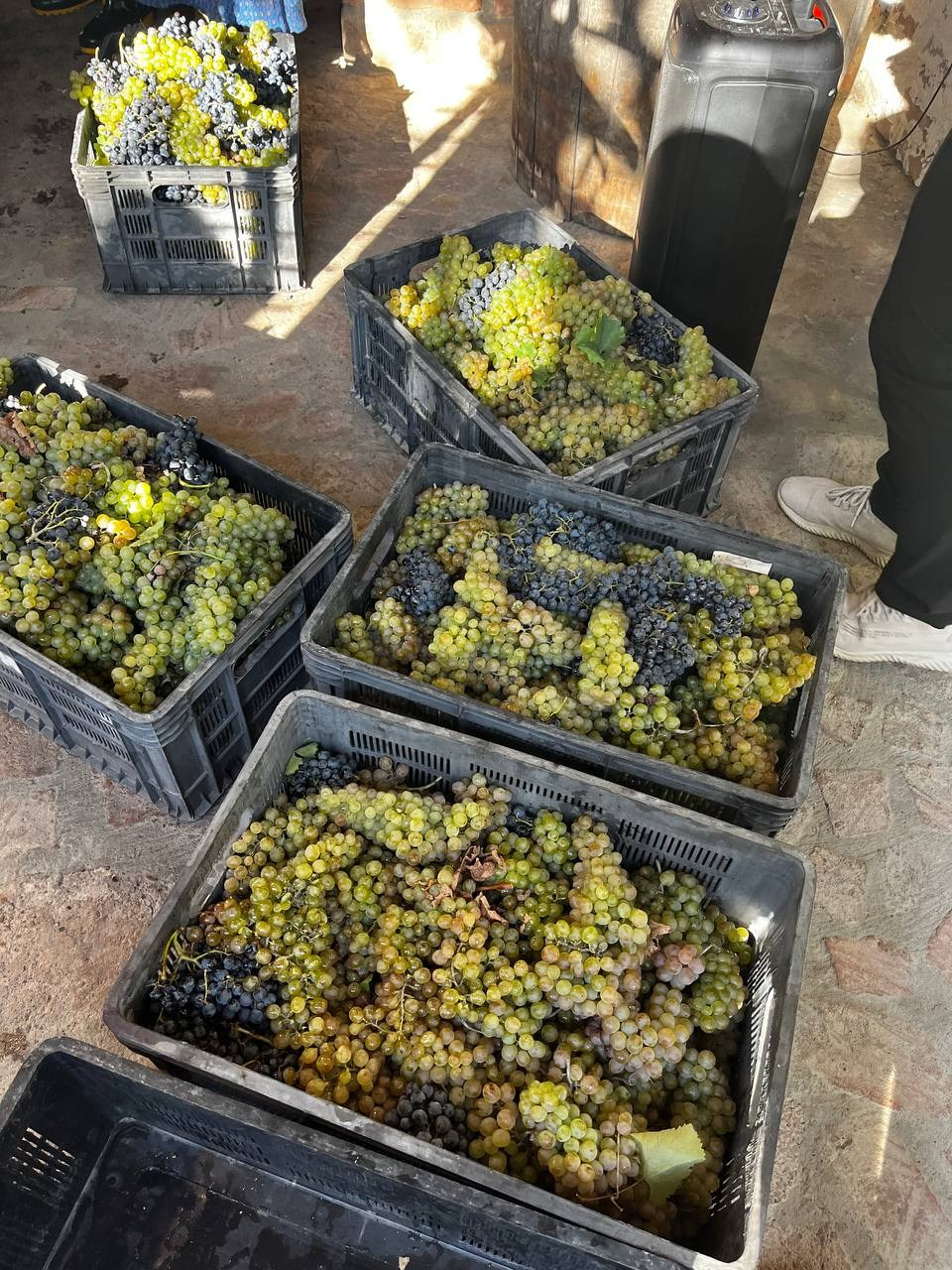 Интересные места Кахетии