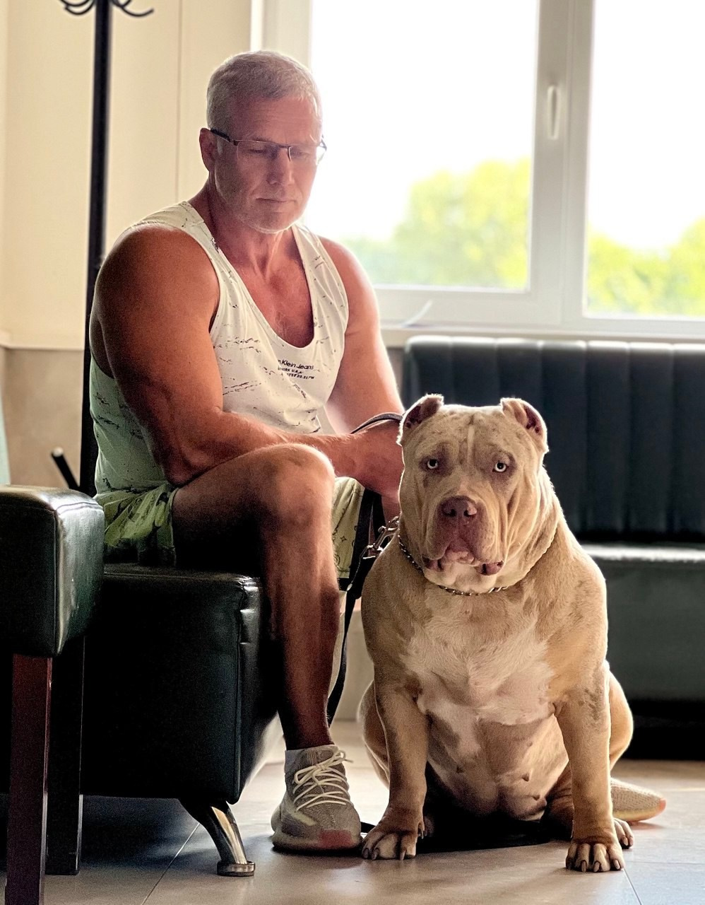 BBK’s Amber. Американские булли XL в г. Калининград. Питомник Great Bully UNIVERSE