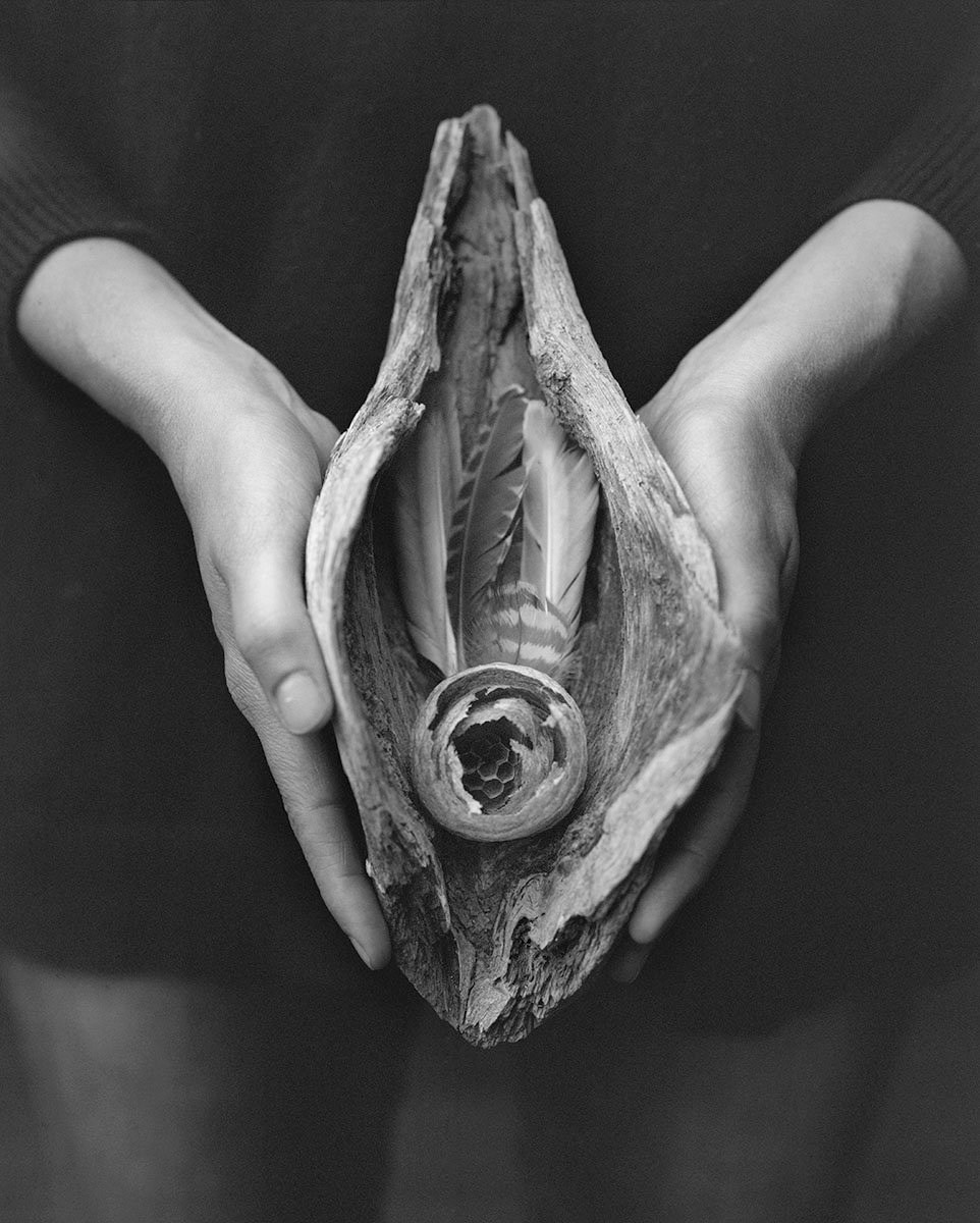 Книга «Gertrud» Мэй Дэниелс (Maja Daniels). Private image