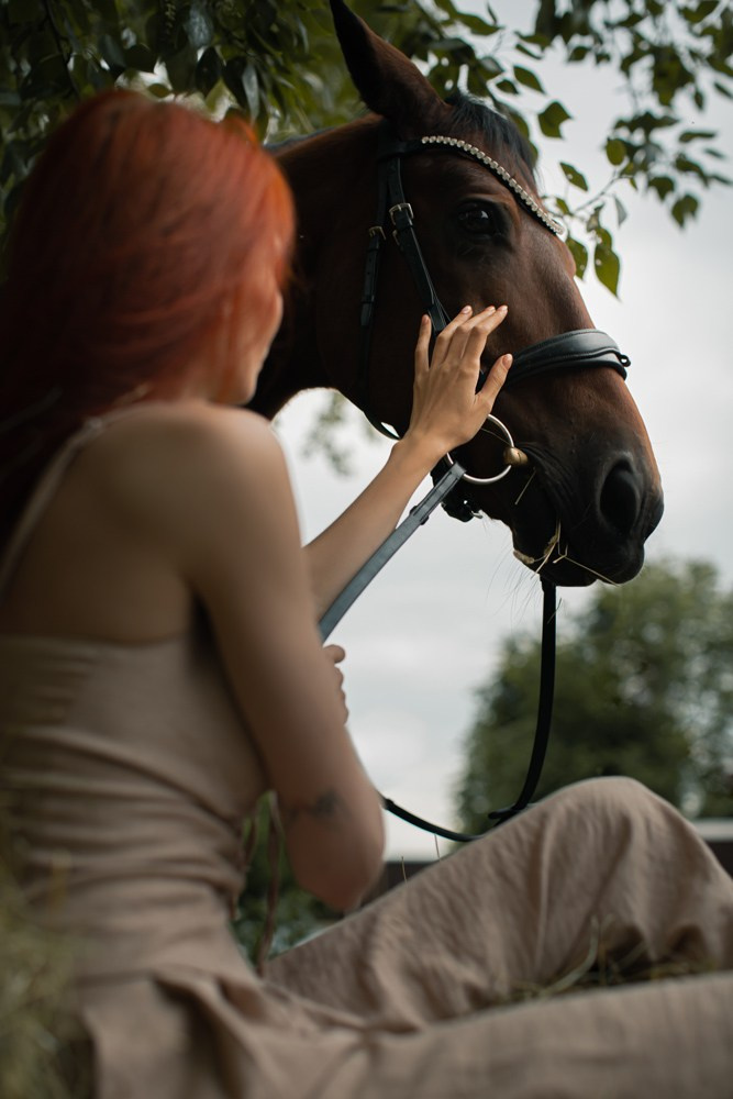 Лошади. Свадебный и портретный фотограф Москва