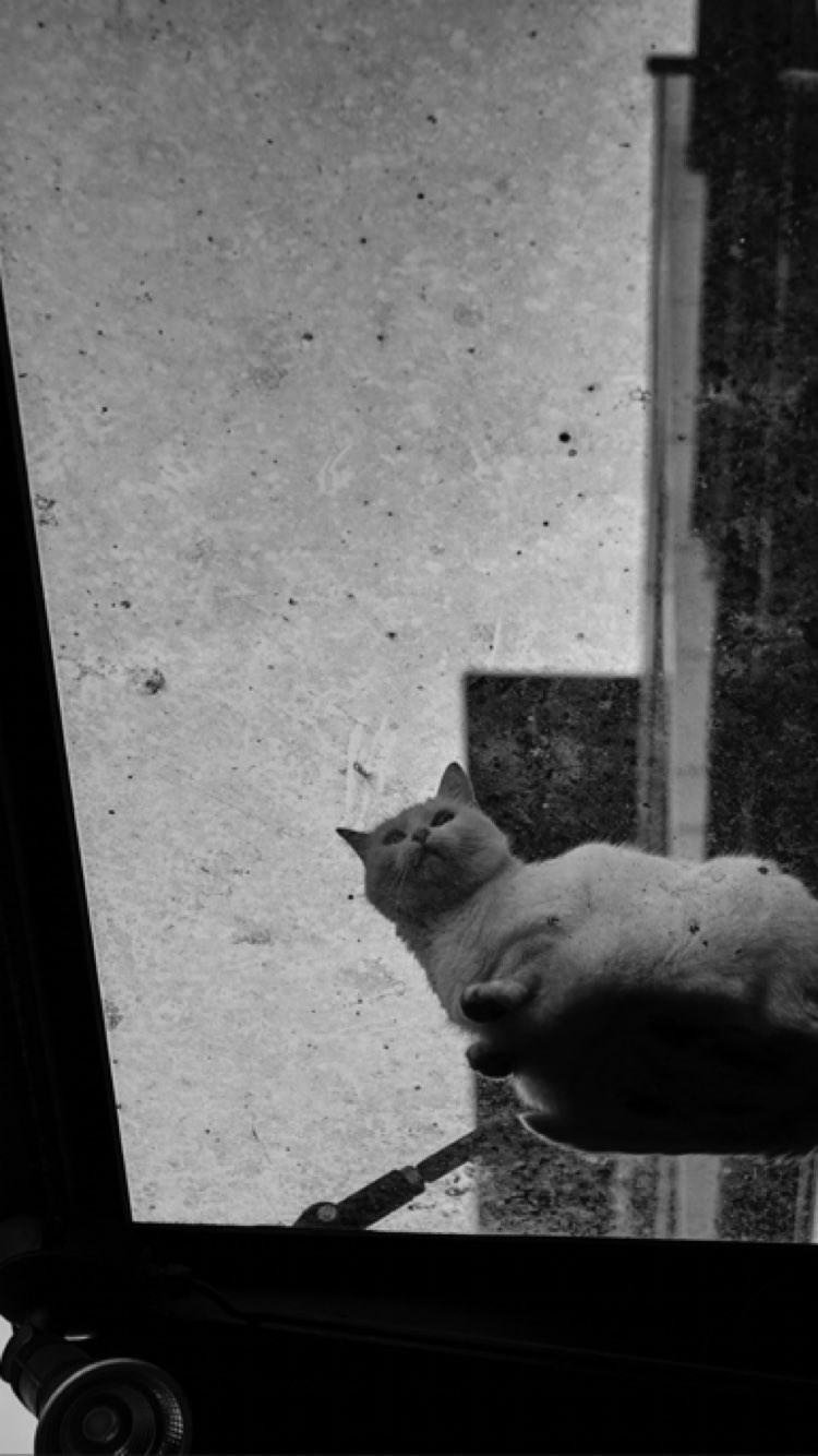 Paris: Download Error