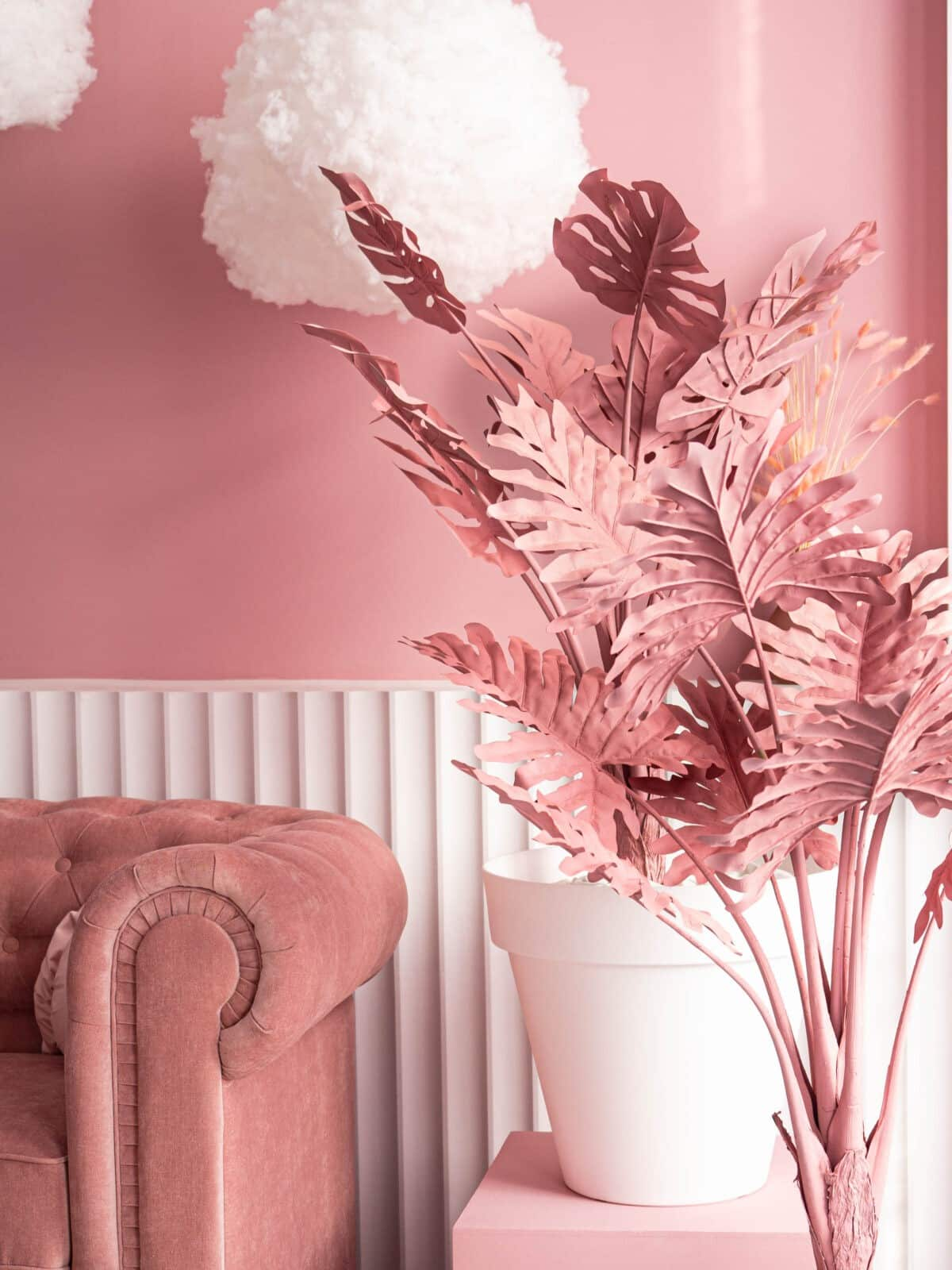 Фотостудия Photohub — всё для комфортной и красивой съёмки. Фотограф в Минске Людмила Дутко