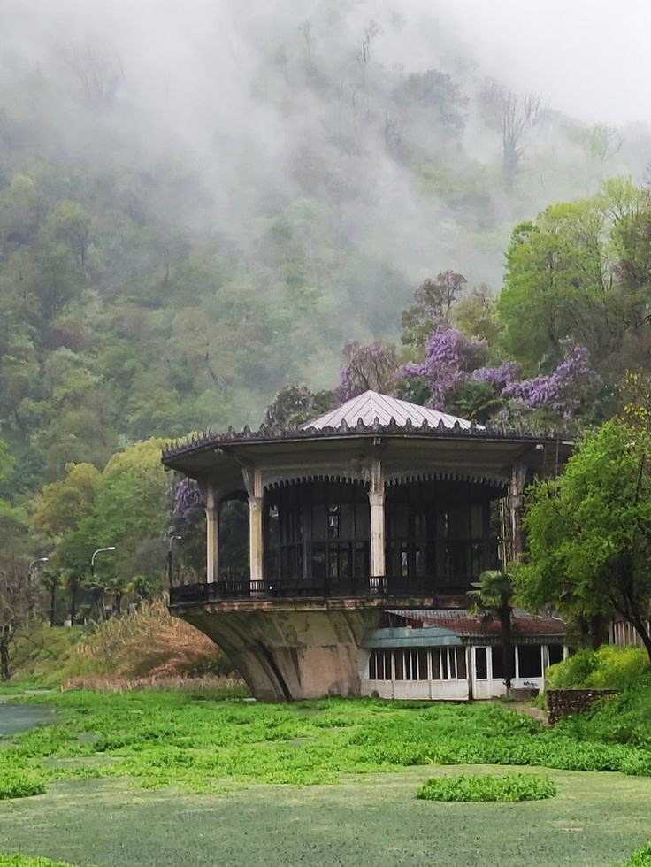 Обучающий фототур в Абхазию 20–25 февраля 2026. Детский и семейный фотограф Елена Михайлова в Москве