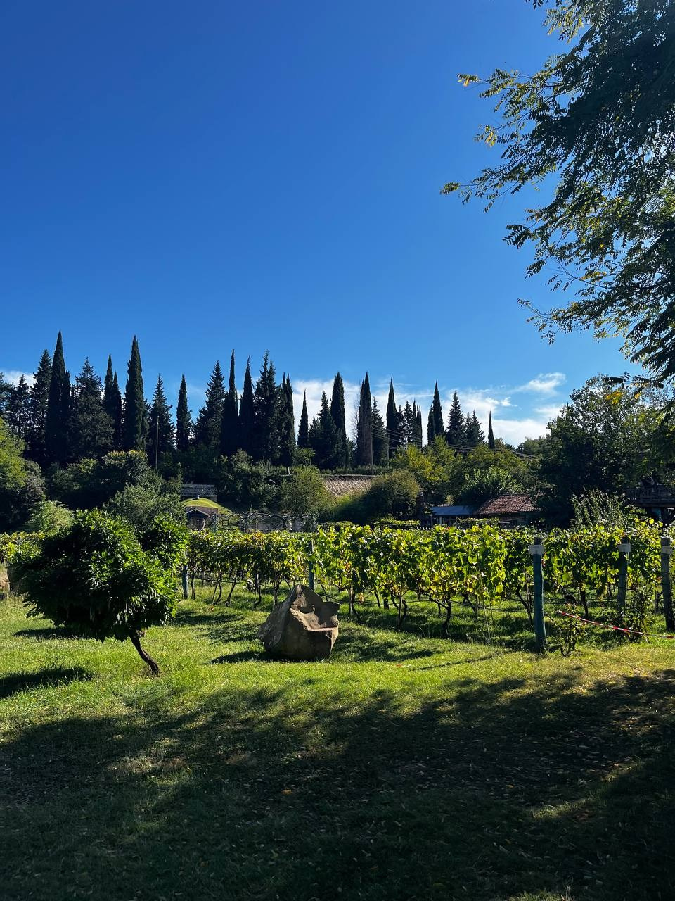 Интересные места Кахетии