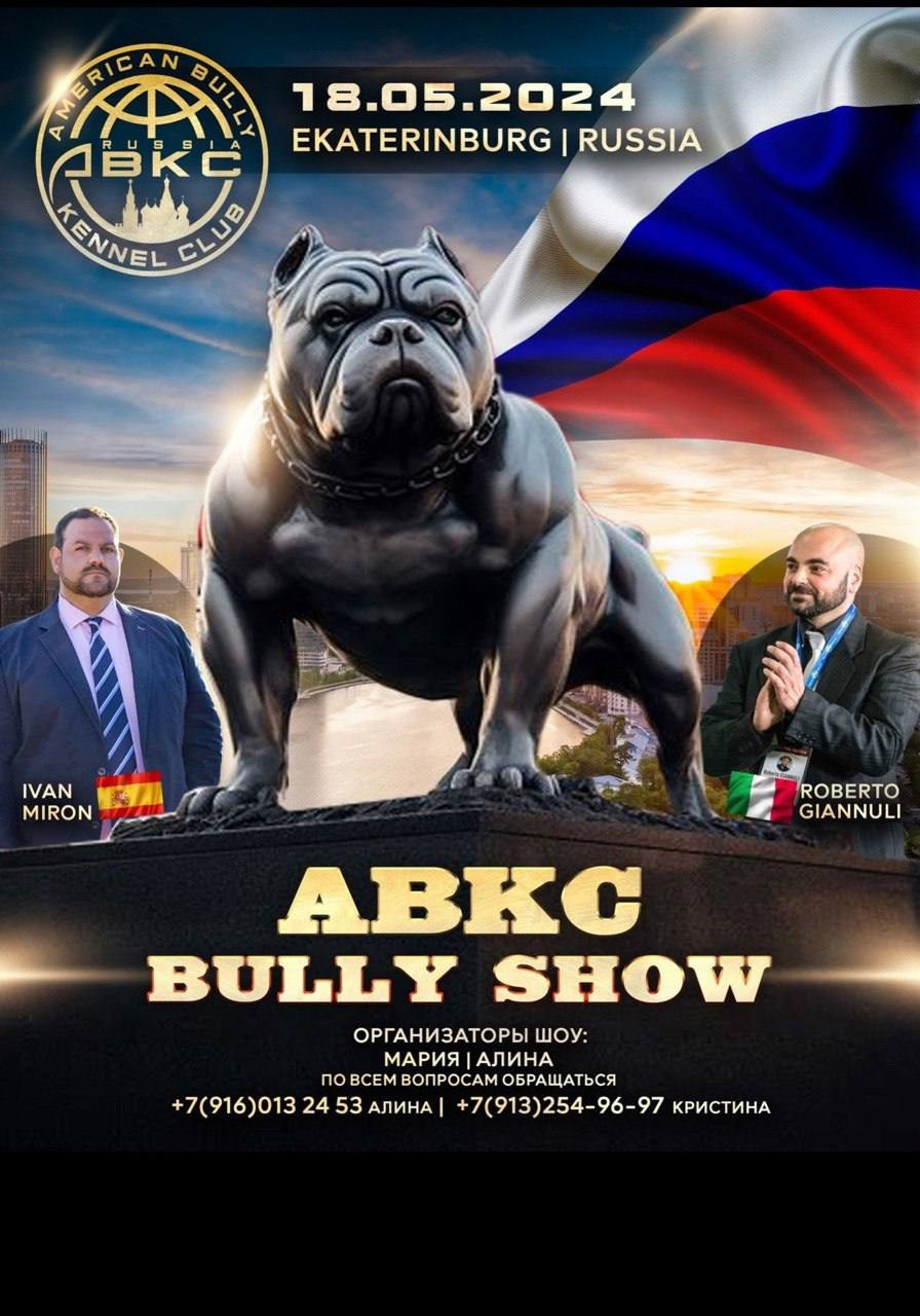 Участие в выставках. Американские булли XL в г. Калининград. Питомник Great Bully UNIVERSE