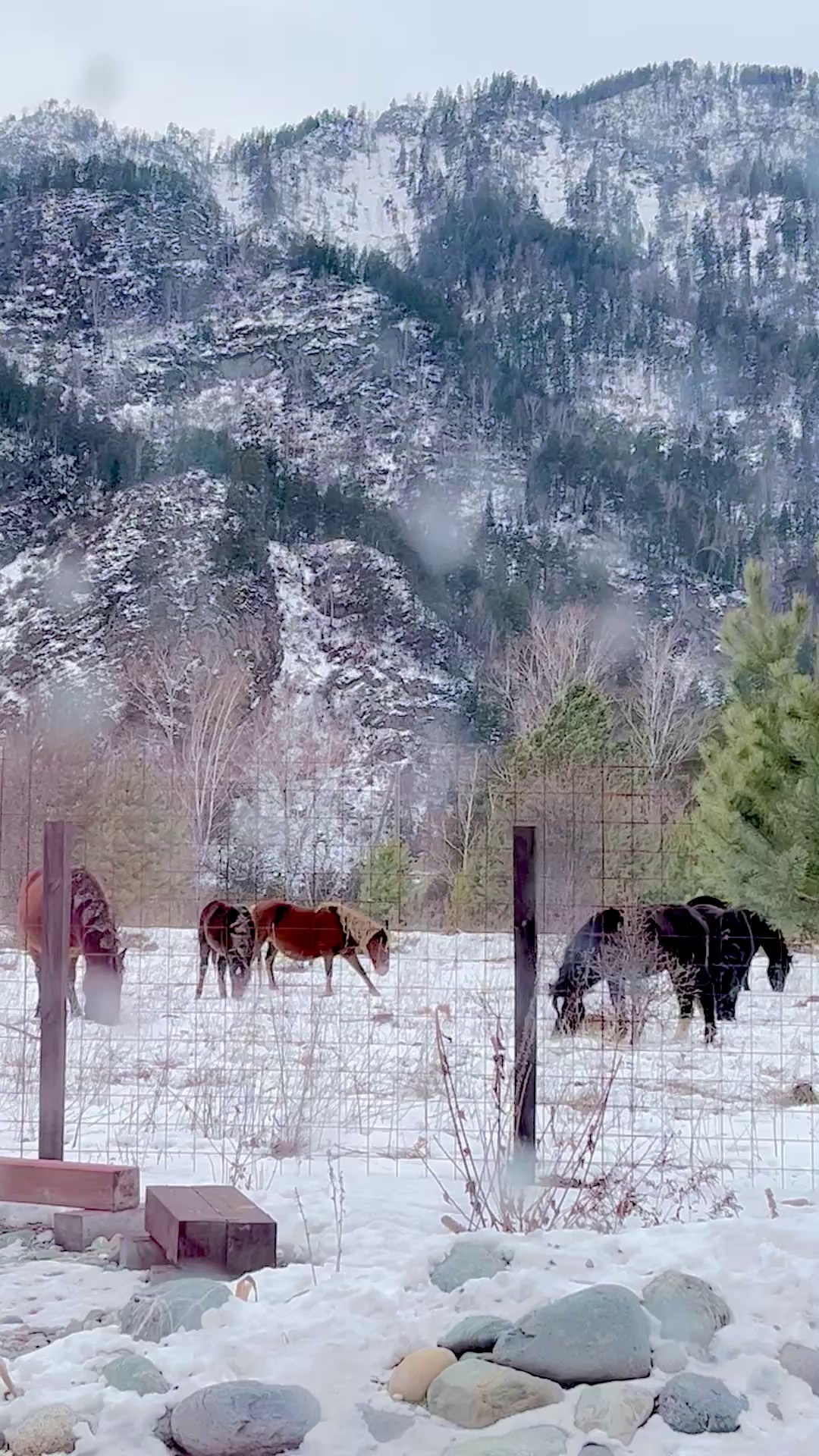Аренда гостевого дома в горах. Семейный фотограф в Барнаул/Горный Алтай, Аренда дома в горах