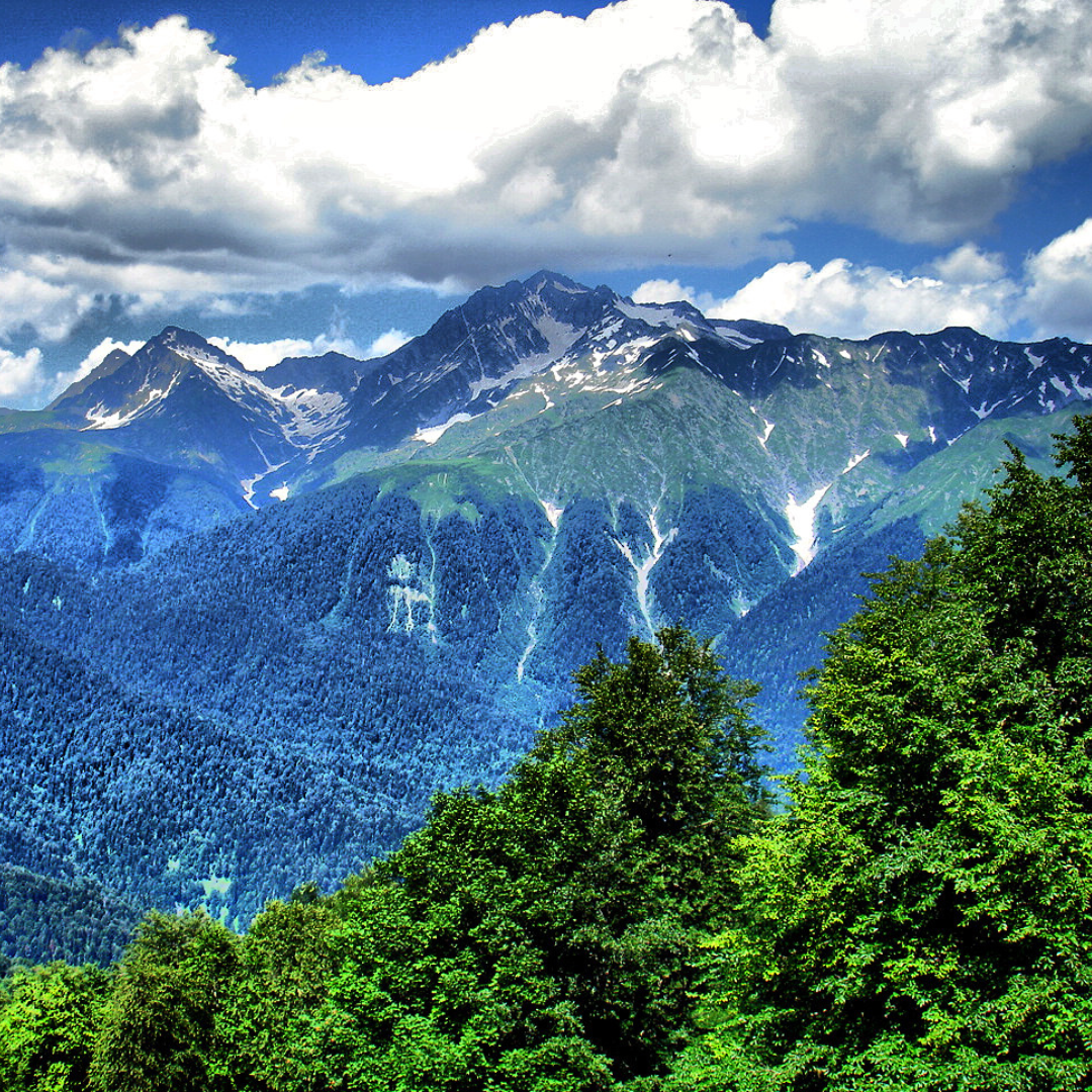 Ретрит в Красной Поляне 2026. Женские даосские практики