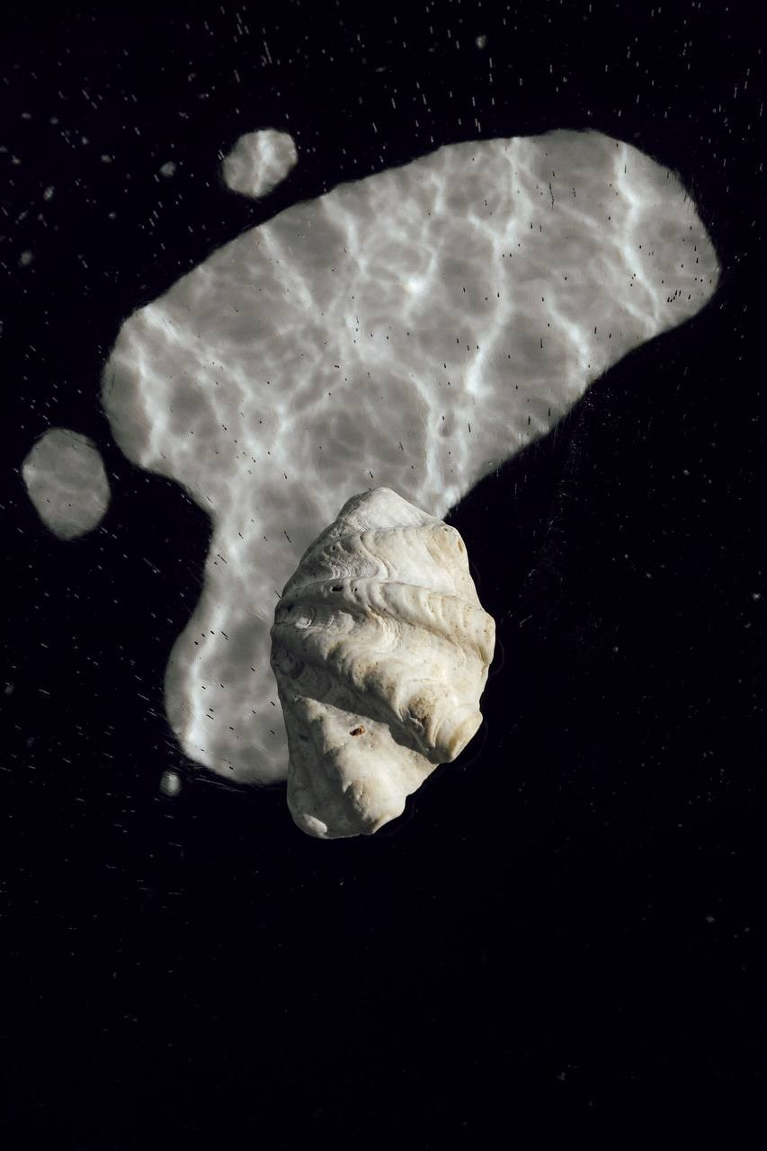 Курс по творческой обработке. ARTDARY | Фотограф Дарья Грицай