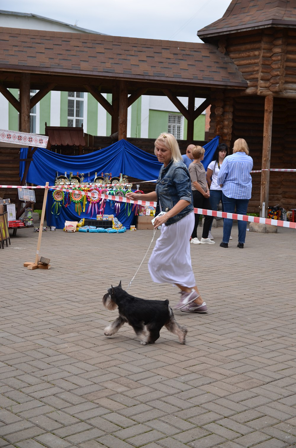 Питомник Делинсо Бэлэнс, щенки цвергшнауцера, купить щенка цвергшнауцера, питомник цвергшнауцеров, кобель цвергшнауцера для вязки, щенок цвергшнауцера, питомник цвергшнауцеров, черный с серебром, цверг, лучший питомник в беларуси, питомник цвергшнауцеров минск