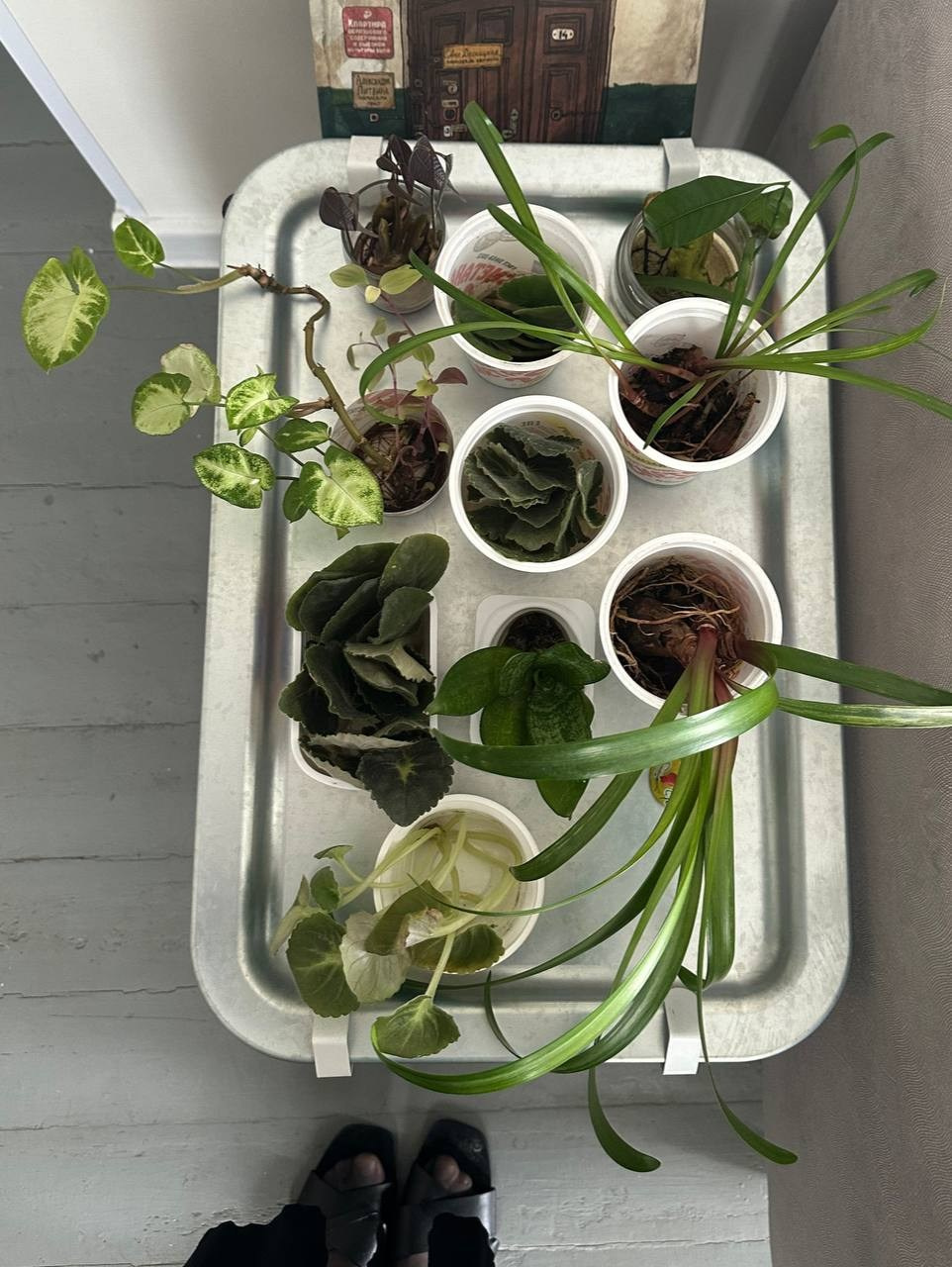 N2, Взгляд через вещи на историю семьи и страны. Портретный и репортажный фотограф Наталья Горобец