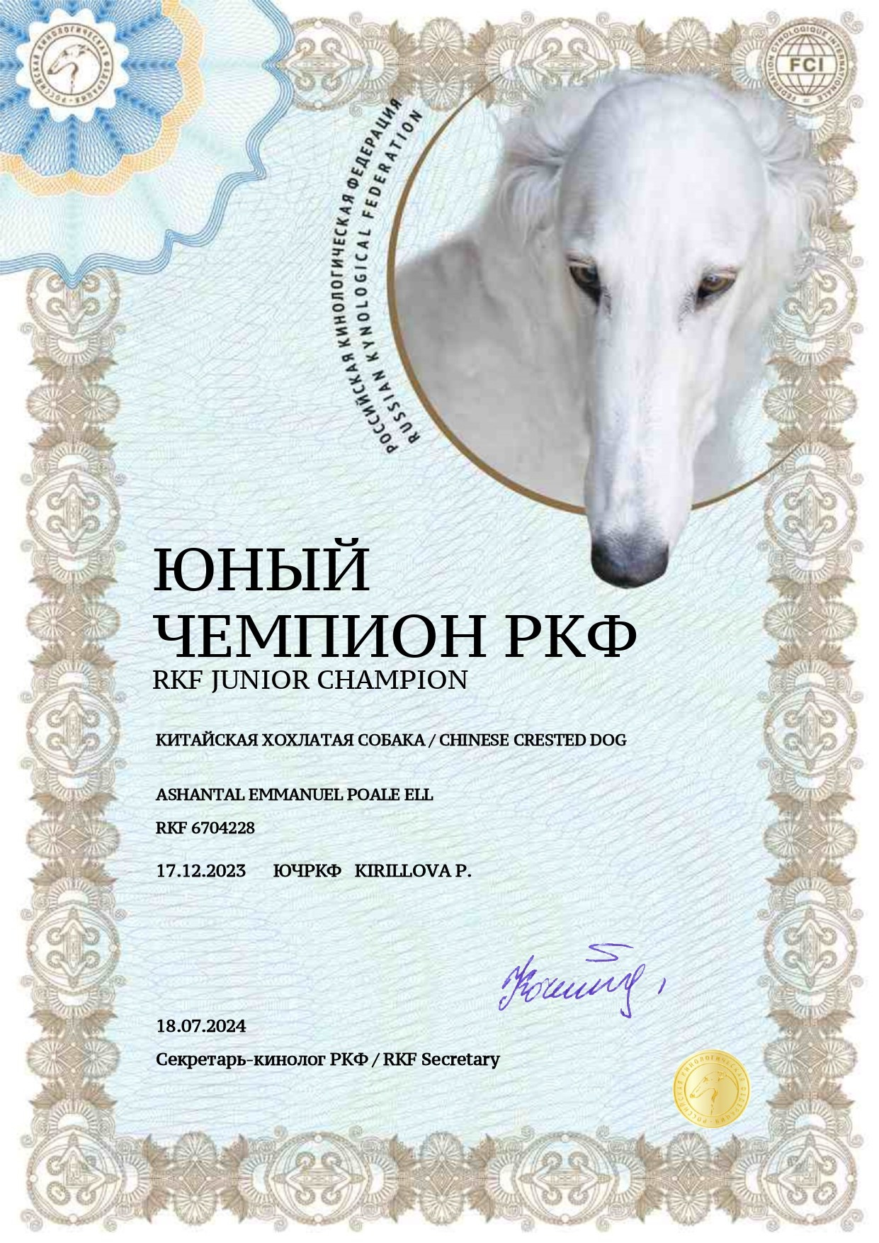 Ashantal Emmanuel Poale Ell. Chinese Crested Dog Kennel Poale Ell