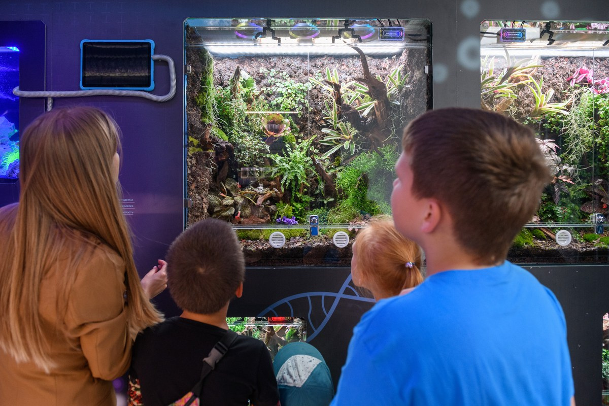 «Москва 2030. Территория будущего» в парке Музеон. Фотограф Антон Белицкий