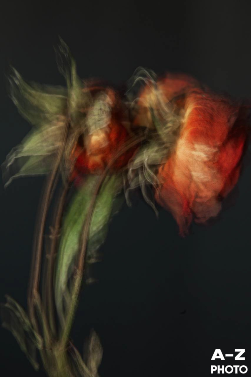 #ФОТОНЕДЕЛИ 16.03.2026. Женский семейный фотограф Тула Москва Захарова Анна