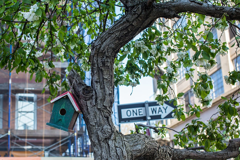 Ma Way. Главная