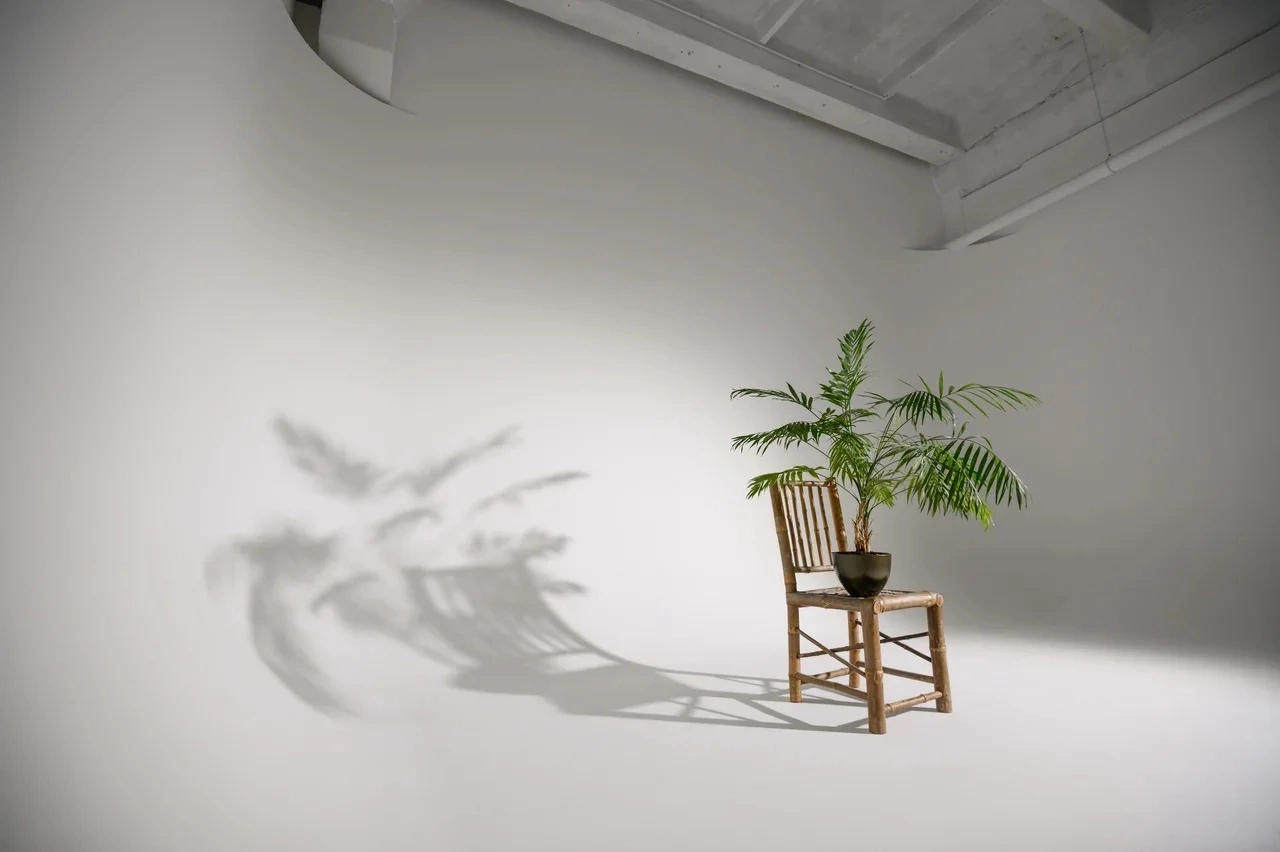 Фотостудии г.Липецк. Фотограф Екатерина Лёвушкина