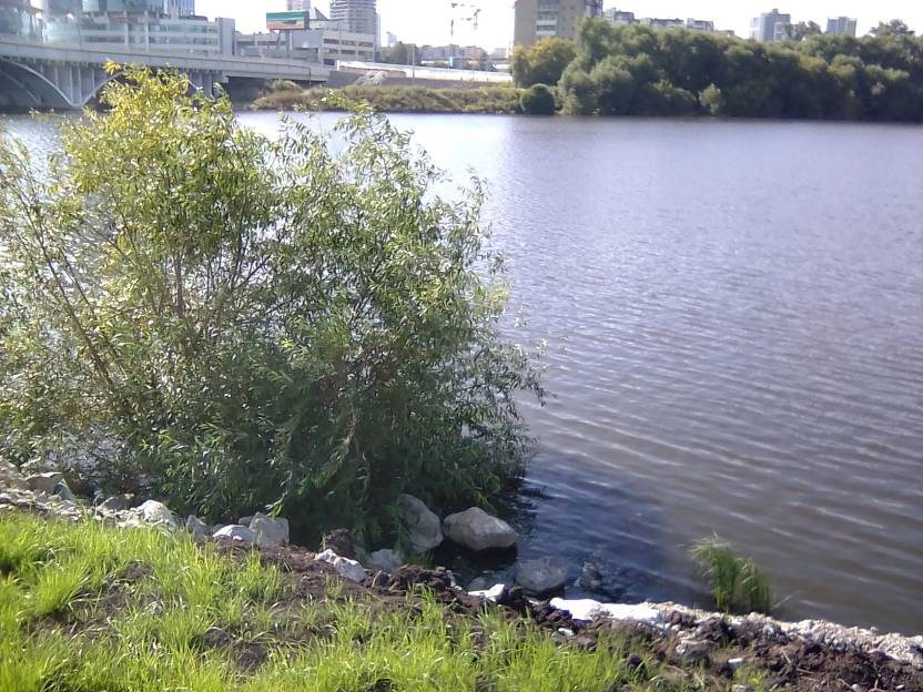 ВНИМАНИЕ! ФЕСТИВАЛЬ ЛАНДШАФТНОГО СТРОИТЕЛЬСТВА. 俄罗斯设计估算