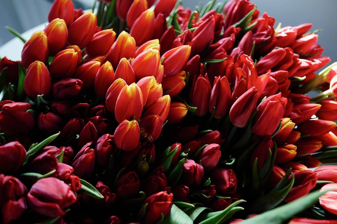 8 марта «Первый рыбный. Юрий Ахмедов