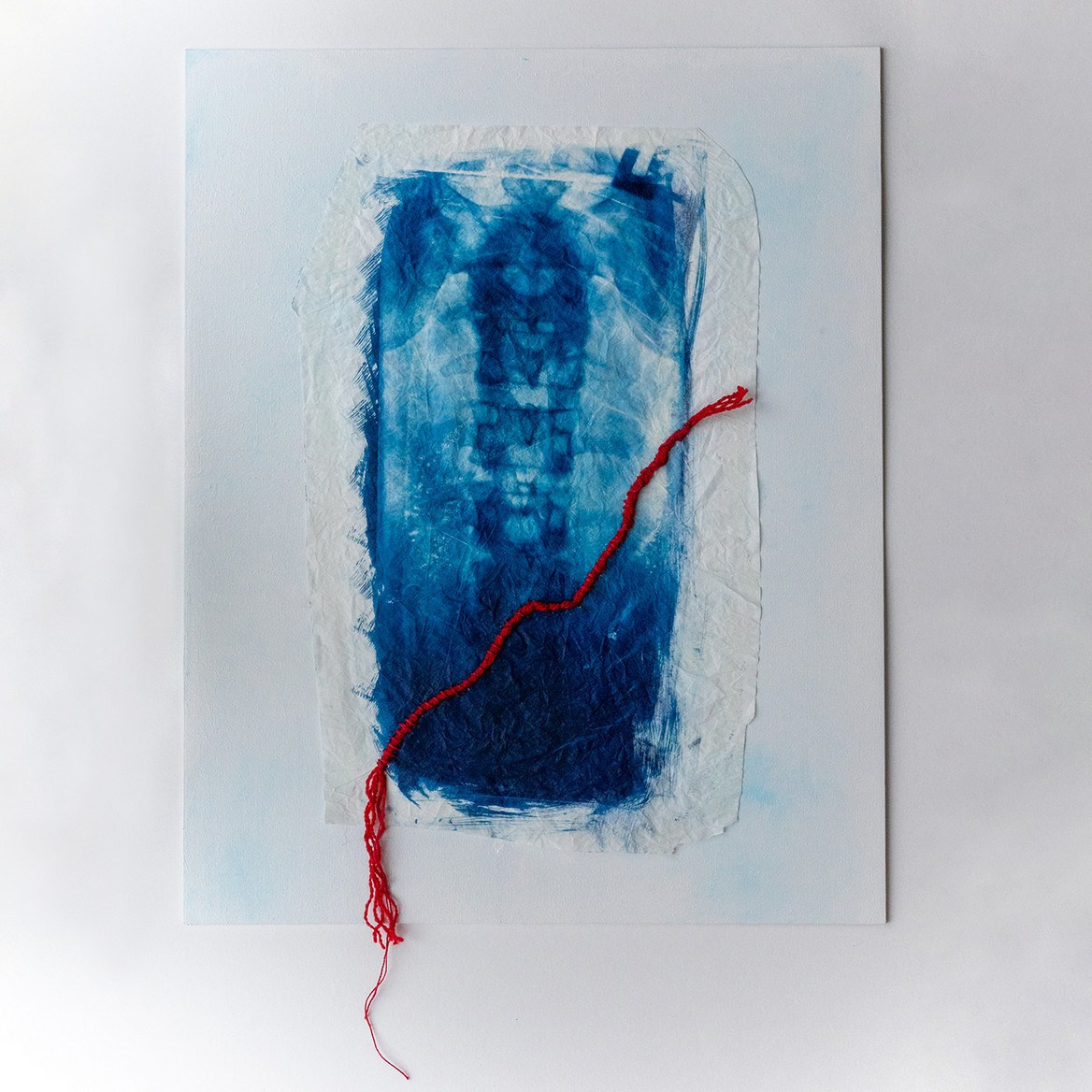 CYANOTYPE. CONTEMPORARY ARTIST OLGA ANDRIYASH