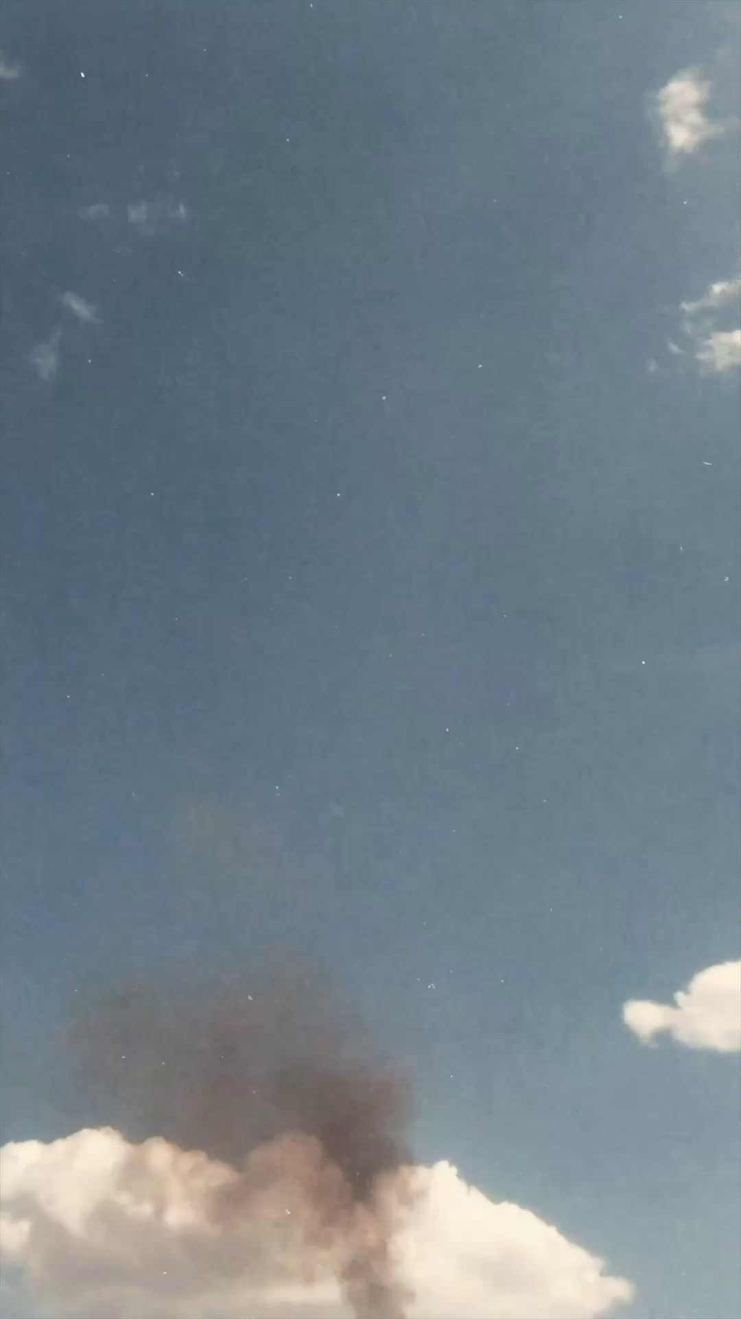 Коммерческие проекты. Ширяева Ольга