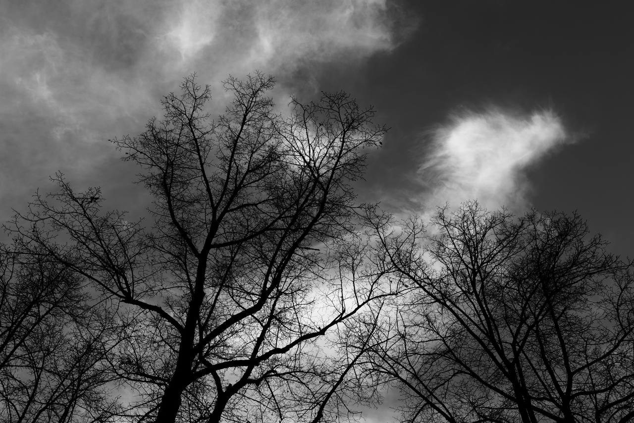 Фотопрогулка — Moscow FreeFlow. PHOTO COMMUNITY #SBERTEAM